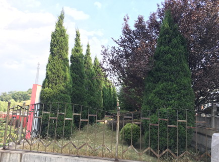 晋煤集团泽州天安海天煤业产能核定项目｜绿景矿山水保环评案例